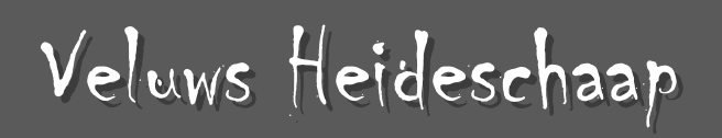 Veluws Heideschaap